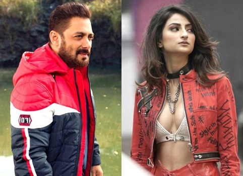 पलक तिवारी को सलमान की फिल्म में मिला बड़ा ब्रेक, ‘कभी ईद कभी दिवाली’ में मारी एंट्री