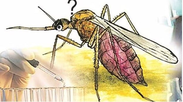 Himachal: सोलन जिले में डेंगू की दस्तक, परवाणू में 21 लोग बीमार