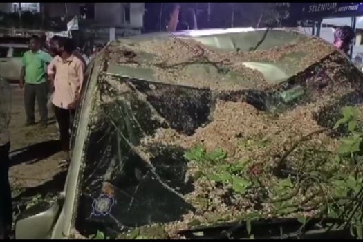 चेन्नई : केके नगर में चलती कार पर गिरा पेड़, महिला बैंक प्रबंधक की मौके पर मौत