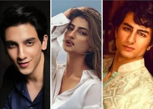 बिजली गर्ल पलक तिवारी इब्राहिम को नहीं, बल्कि इस एक्टर को कर रही हैं डेट