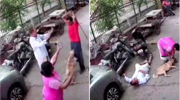 दिल्ली: कुत्ते के भौंकने पर गुस्साए शख्स का बवाल, बेजूबान समेत तीन लोगों पर किया लोहे की रॉड से वार