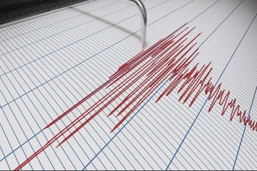 Earthquake: काठमांडू में महसूस किए गए भूकंप के झटके, बिहार में दिखा असर