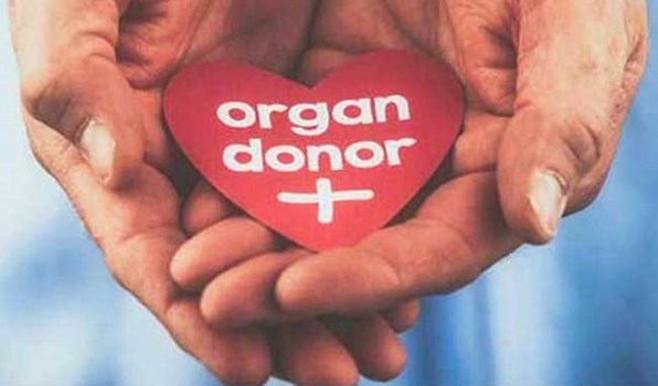 World Organ Donation Day 2022: विश्व अंगदान दिवस आज, जानें इसका इतिहास और महत्व