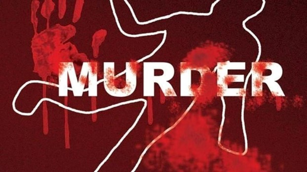 Mathura Murder Case: नरहौली में वृद्ध की सिर पर ईंट मारकर हत्या, नशे में हुआ था झगड़ा
