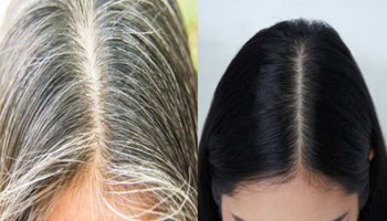 Hair Care Tips: सफेद बालों को करना है काला, तो अपनाएं Black Tea का ये आसान तरीका