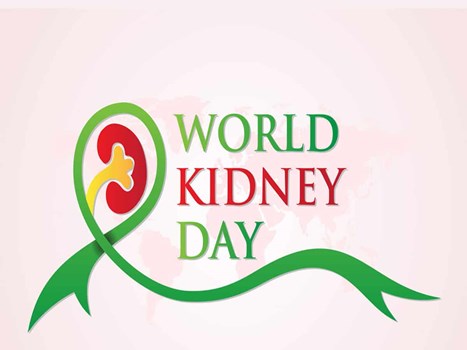 World Kidney Day 2023: स्वस्थ रहने के लिए किडनी का रखें विशष ध्यान, अपनाएं ये उपाय