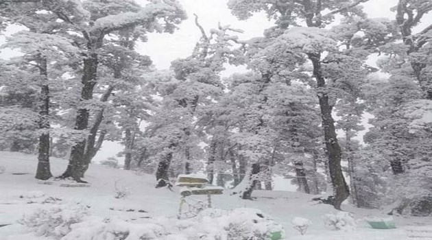 हिमाचल प्रदेश में बारिश- बर्फबारी से गिरा तापमान, गांवों में बिजली आपूर्ति ठप