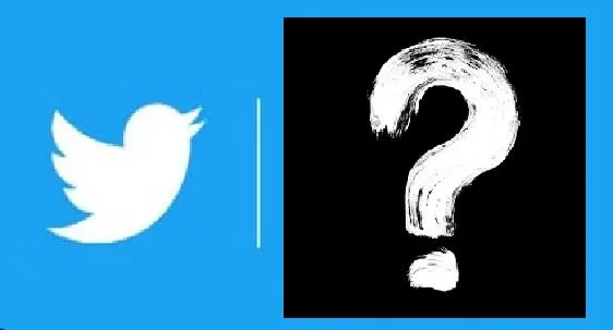 अब नहीं दिखेगी ट्विटर पर Blue Bird,ये होगा नया लोगो 