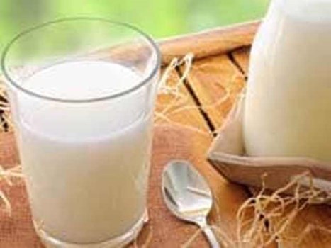 आज है World Milk Day, जानिए कब हुई थी इस दिन की शरुआत