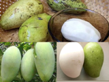 सेहत के लिए फायदेमंद होता है White Mango, मिलता है इस शहर में, जानिए इसकी खासियत 
