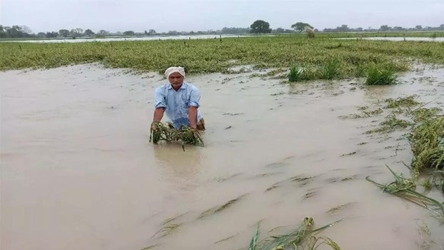 बाढ़ पीड़ितों के लिए खुला क्षतिपूर्ति पोर्टल, खराब हुई फसल का मुआवजा देगी सरकार, पढ़ें पूरी खबर