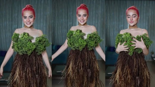 चार्जर, सेलो टेप से नहीं भरा मन तो ब्रोकली लुक में दिखीं Urfi Javed,फैंस हैरान