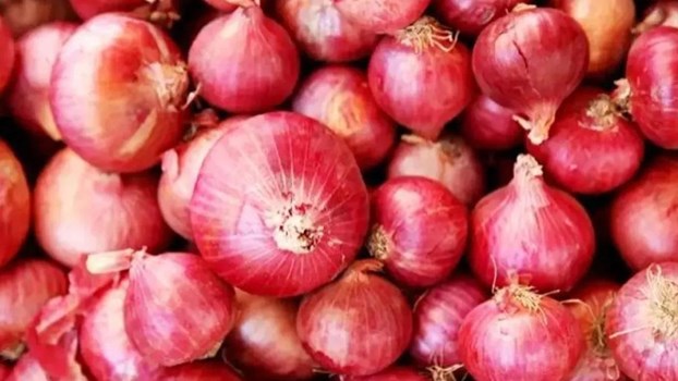 Onion Price:बढ़ती कीमतों के बीच केंद्र ने बफर स्टॉक से प्याज जारी करने का लिया फैसला