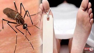 Dengue:उत्तराखंड में डेंगू का कहर; मरीजों की संख्या 600 के पार, देहरादून में 418 संक्रमित