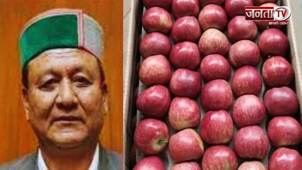  Himachal News: सेब पैकिंग के लिए यूनिवर्सल कार्टन लागू, अगले साल से शुरू होगी व्यवस्था