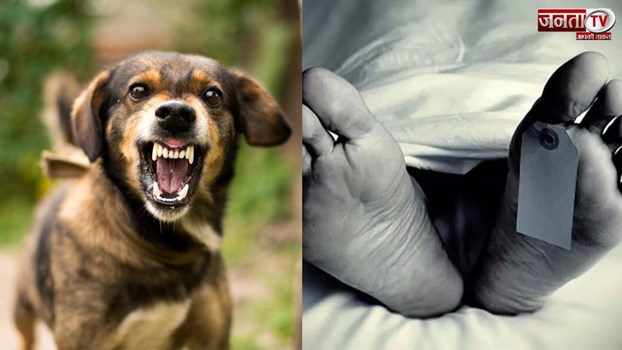  हरियाणा के रेवाड़ी में अस्पताल की बड़ी लापरवाही, बेसमेंट में रखे शव को कुत्तों ने नोंच खाया