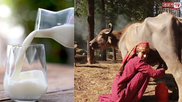 CM सुक्खू ने प्रदेश के पशुपालकों की दी बड़ी सौगात, बढ़ी कीमतों में दूध की खरीद करेगी सरकार