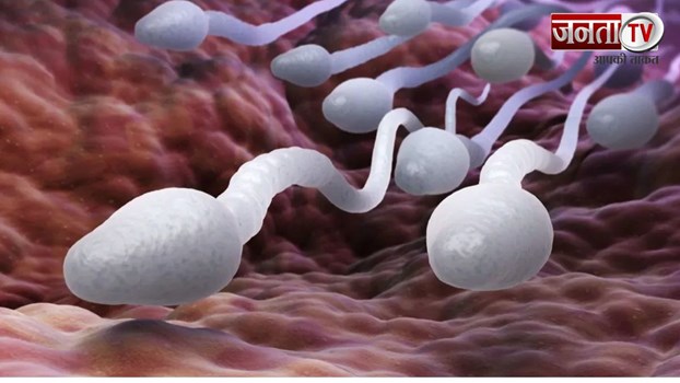 यूके के शुक्राणु की डिमांड पूरी दुनिया में क्यों होता है, क्या है खास?