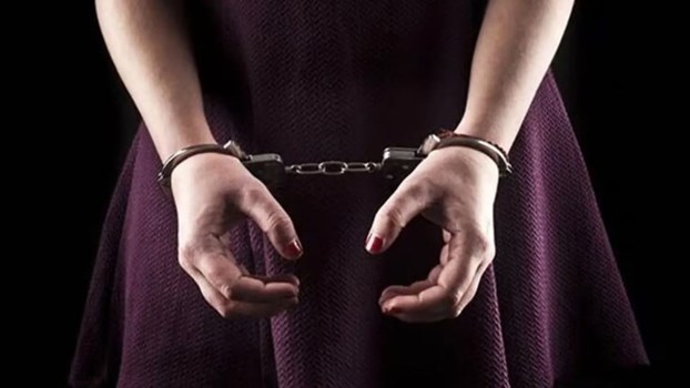 नौकरी के लिए Shimla आई महिला ने रिश्तेदार के घर किया बड़ा कांड, जानें क्या है पूरा मामला