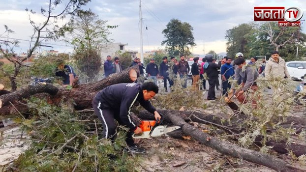 Haridwar में अचानक टूट कर गिरा पेड़, चपेट में आने से स्कूटी सवार लड़की की मौत 