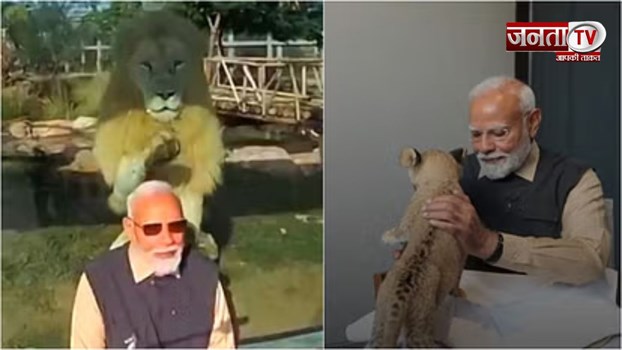 PM मोदी ने गुजरात में वन्यजीव बचाव केंद्र 'वनतारा' का किया उद्घाटन 