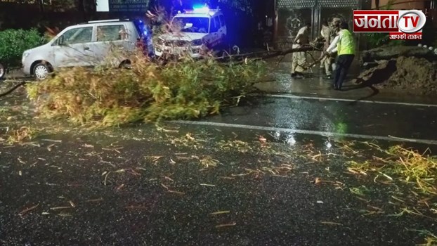 Delhi weather: दिल्ली में आसमान से बरसी आफत, मकान पर गिरा पेड़, महिला समेत बच्चे की मौत 