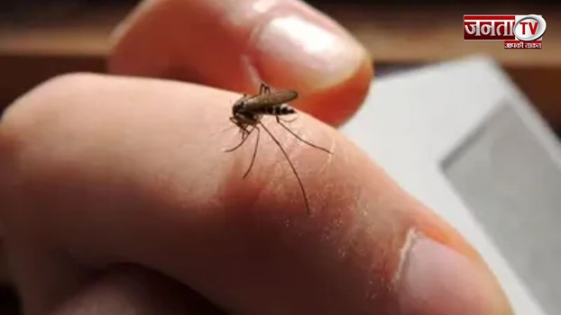 किन लोगों को मच्छर नहीं काटते! जानें कौन सा ब्लड ग्रुप इनका दुश्मन