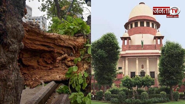 New Delhi: DDA पर लगा जुर्माना, पेड़ों की अवैध कटाई के मामले में कोर्ट ने दिए निर्देश 