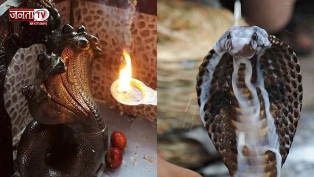 नागपंचमी का त्यौहार आज, इस दिन ना करें ये काम, नागदेव हो जाएंगे नाराज 