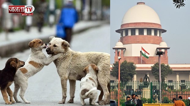 सुप्रीम कोर्ट ने दिल्ली-एनसीआर में आवारा कुत्तों को लेकर सुनाए फैसले, चीन से पश्चिमी देशों में भी है