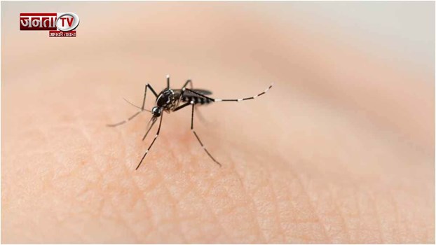 किन लोगों को मच्छर नहीं काटते! जानें कौन सा ब्लड ग्रुप इनका दुश्मन