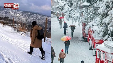 हिमाचल प्रदेश में बर्फबारी और हिमस्खलन का कहर, 250 भेड़-बकरियों की मौत, अलर्ट जारी