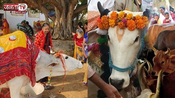 गोपाष्टमी 2025 कब है? शुभ मुहूर्त के साथ पूजा विधि भी जान लीजिए