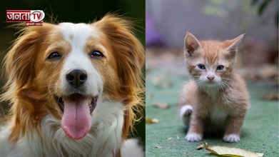 Uttarakhand: अगर आपके घर में कुत्ते या बिल्लियां हैं तो जाइए सतर्क, जानिए क्यूं मचा है हड़कंप!