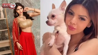 क्यों हटवाए ब्रेस्ट इम्प्लांट? Sherlyn Chopra ने सबकुछ बता दिया  