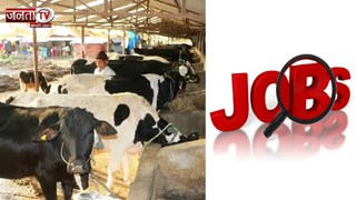 Golden Chance: पशुपालन विभाग में 500 पदों पर भर्ती, कम काम–ज्यादा फायदा!