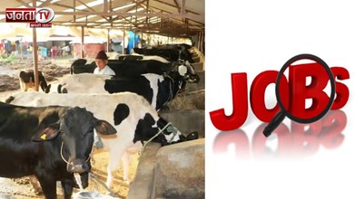 Golden Chance: पशुपालन विभाग में 500 पदों पर भर्ती, कम काम–ज्यादा फायदा!