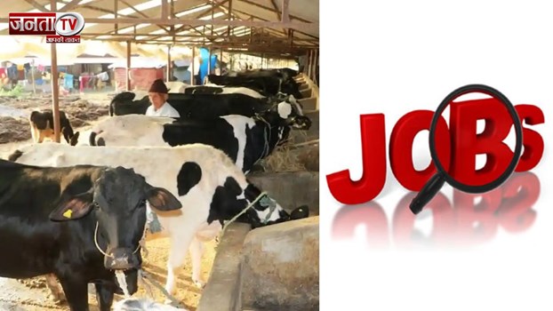 Golden Chance: पशुपालन विभाग में 500 पदों पर भर्ती, कम काम–ज्यादा फायदा!