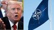 क्या नाटो से अलग होगा अमेरिका? ट्रंप के सांसद ने पेश किया बिल, दी ये दलील 