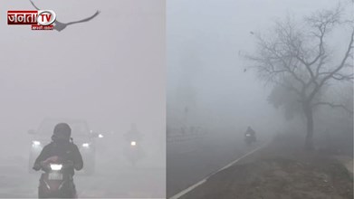 हरियाणा में बढ़ गई ठिठुरन, इन जिलों में घने कोहरे का जारी हुआ येलो अलर्ट 