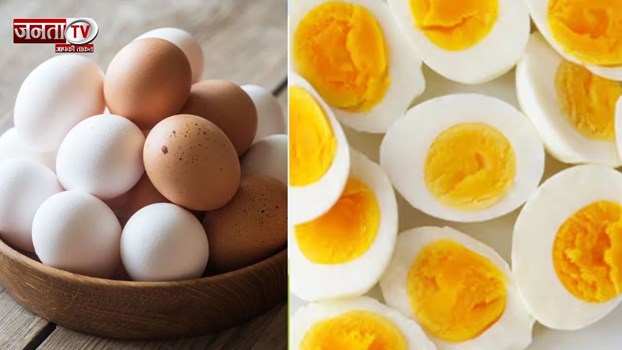 50 % तक कीमत हुई ज्यादा, ठंड में क्यों आसमान छू रहे अंडे के दाम, जानिए बड़ी वजह?