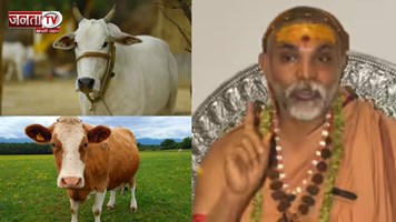 असली गाय कौन? स्वामी अविमुक्तेश्वरानंद ने बताया, बांग्लादेश में हिंदुओं की ह*त्या पर कही ये बात 
