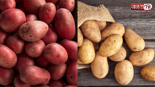लाल या सफेद कौन सा आलू, सेहत के लिए कौन है ज्यादा फायदेमंद? जानिए यहां 