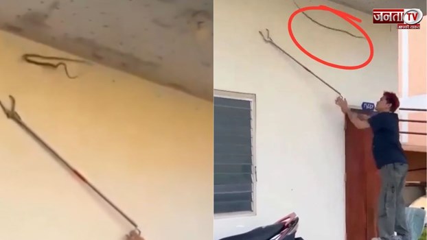सांप को पकड़ने जा रहा था शख्स, पलक झपकते ही किया ऐसा अटैक; Video देख कांप जाएंगे!