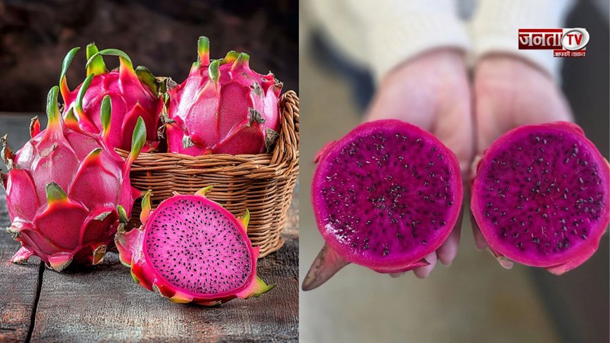 ड्रैगन फ्रूट खाने से पहले जान लें ये बात, वरना फायदे की जगह होगा नुकसान!