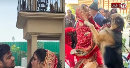 Viral Video: विदाई में दुल्हन को पालतू कुत्तों ने रोका, इमोशनल पल देख भर आएंगी आंखें