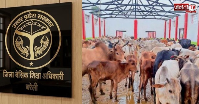 बरेली में शिक्षा विभाग का अनोखा आदेश, ‘टीचर गायों के लिए भूसा दान करें, नहीं तो…’ लेटर वायरल