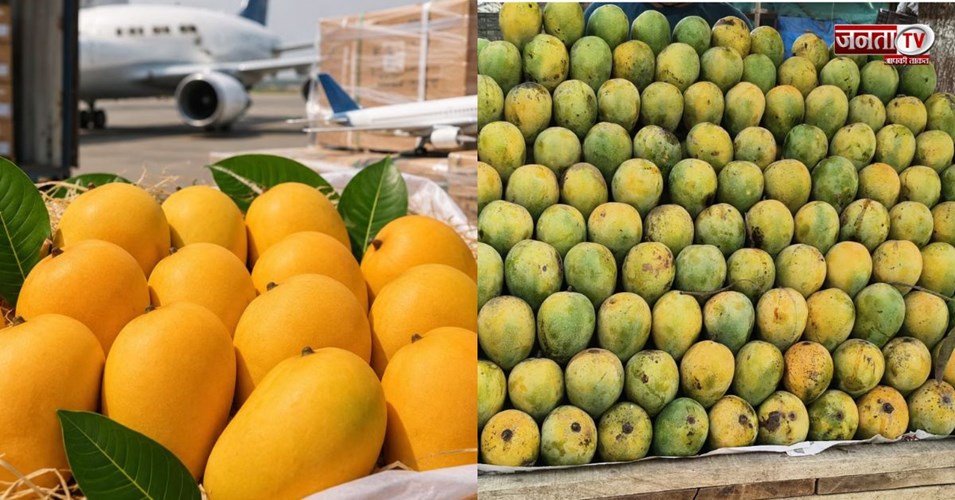 Nepal Mango Import:भारत के आमों पर नेपाल में बैन लगा या नहीं? सरकार ने साफ की स्थिति