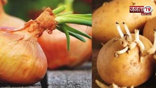 बारिश में जल्दी खराब हो जाते हैं आलू-प्याज? ऐसे करें सही स्टोरेज, महीनों रहेंगे ताजा