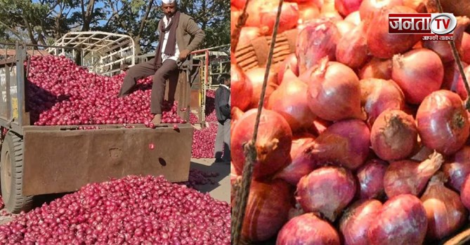 प्याज का भाव कैसे तय होता है? जानिए किसान से मंडी तक किसका कितना रोल